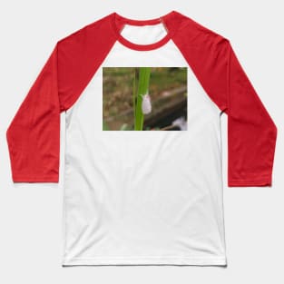 Mother of White Butterfly Baseball T-Shirt